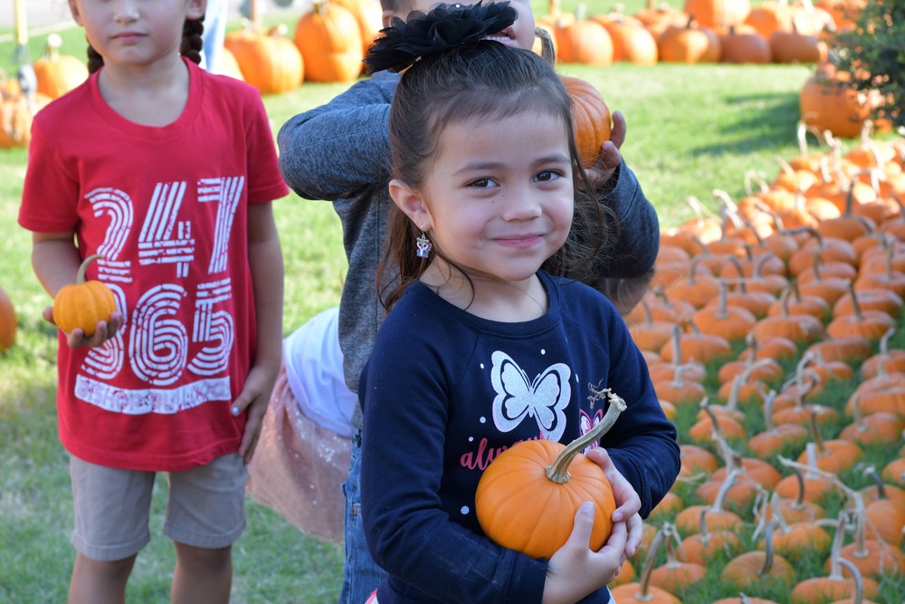 BULLDOGS CONVERGE ON THE PUMPKIN PATCH!